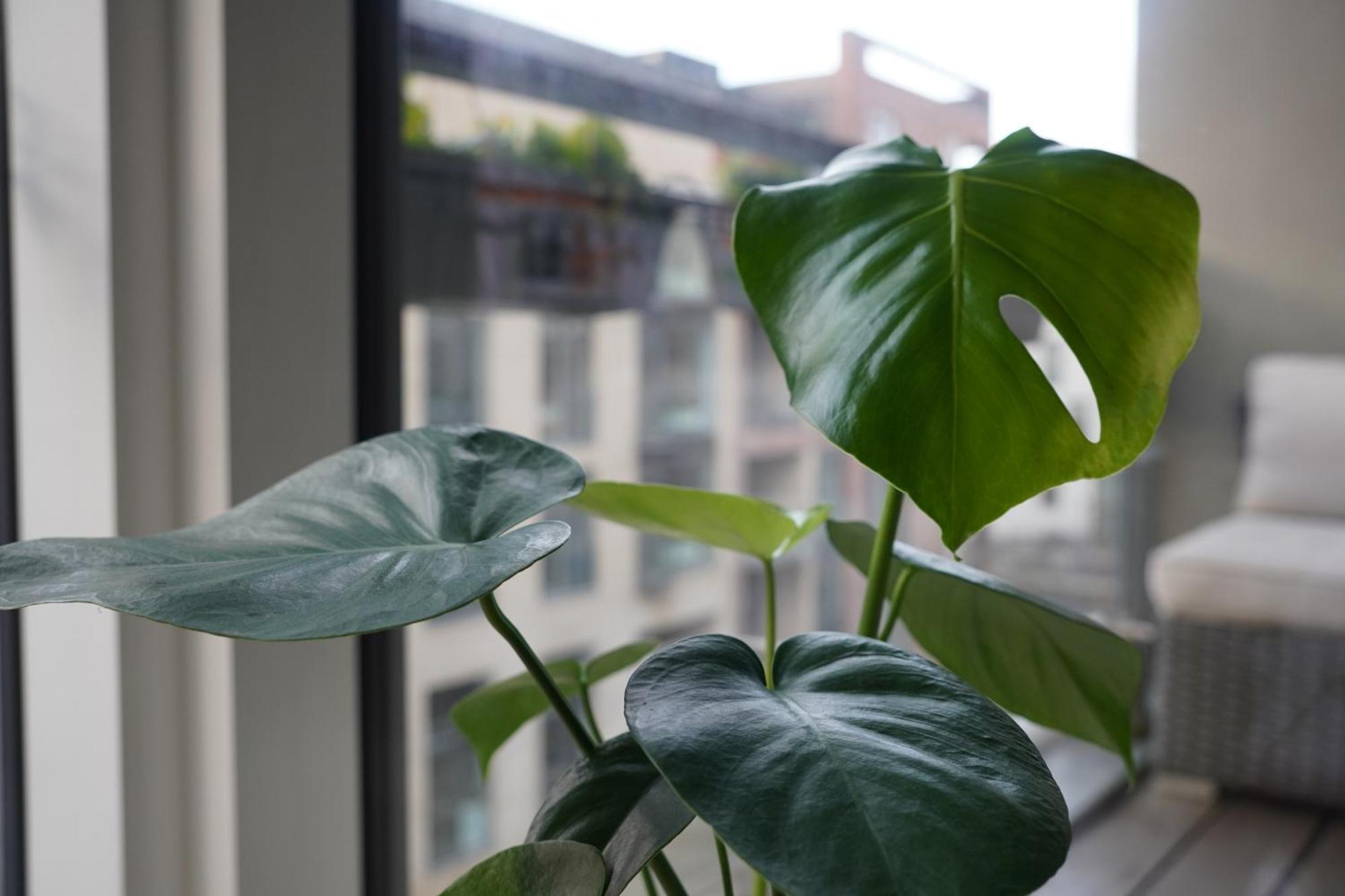 Apartment With Canal View Kopenhagen